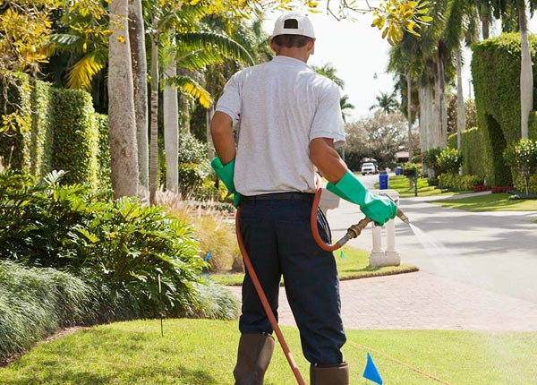 About Rushville OH Pest Control